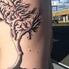 tree rib piece