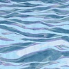 Montrose Beach Study #2