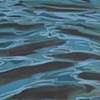 Night Water