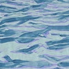 Montrose Beach Study #1