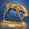 horses & wildlife