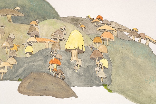Shit (mushrooms don't grow on rocks) (Detail)