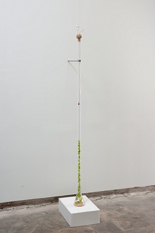 Experiment #002