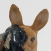 Tarzy, The Deer