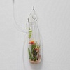 Xenobotany