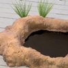 Black Hole (Small)