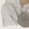 Rock-N-Tits