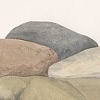 Rock-N-Cock
