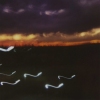 The Evening Ended in Oil-Base 