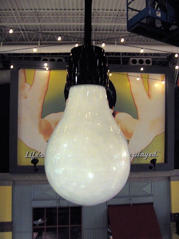 Bulb in Place without the moth.