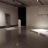 Gallery Shot