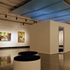 Thesis Gallery Shot