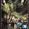 Commercial Spaces