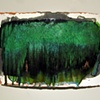 Green Shade