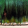 Green Shade (detail)