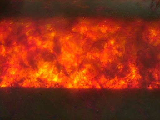 "Fire" Partition Close Up