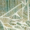 Snake Skin Series
