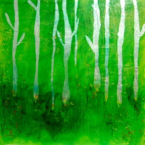 Forest Illusion