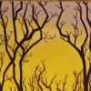 Winter Solstice III