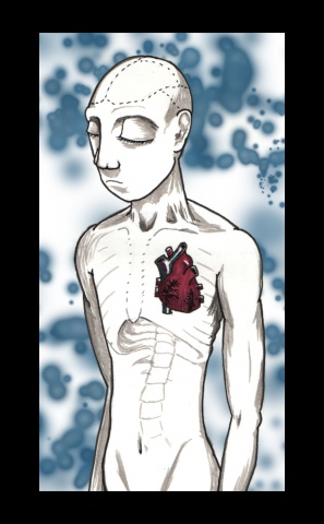 Cold Anatomy