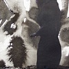 I-Shadow