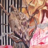 Vulture 2