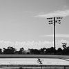 Gypsy, San Diego Velodrome