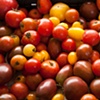 cherry tomatoes