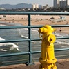 Santa Monica Pier hydrant