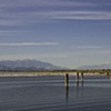 Salton Sea 124