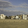 Hermosa Beach Birds