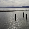 Salton Sea 58