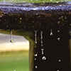 Fountain Drops