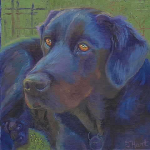 black lab mix painting pet portrait