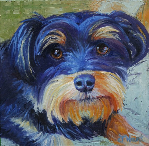 painting of cute terrier mix dog benefit homeless animals from my adopt a pet series