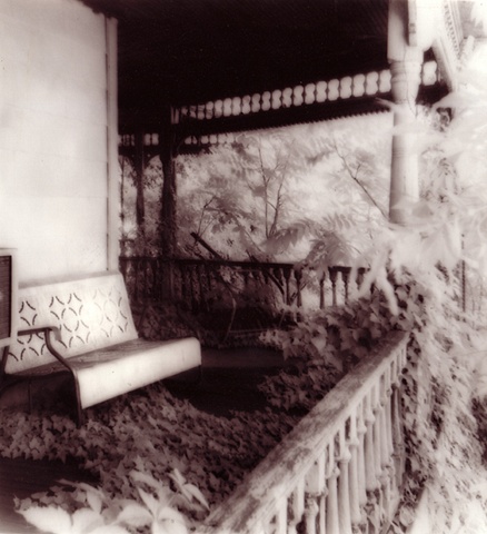 Past Overgrown #2