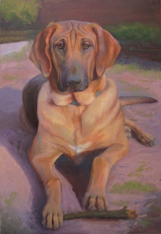 pet portrait oil painting of dog shepard mix