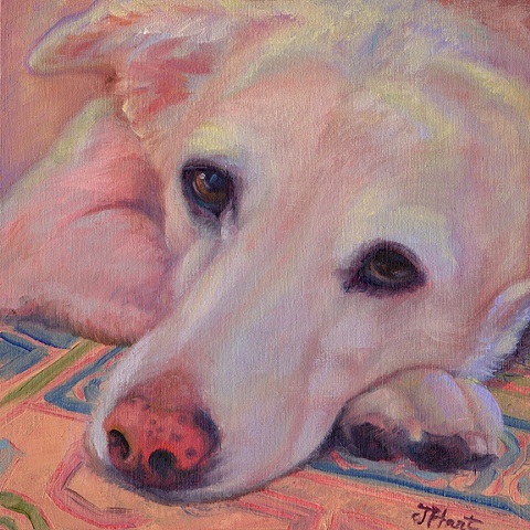 Yellow lab, labrador retriever, dog, hound, canine, pet portrait, dog painting