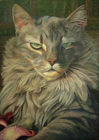 oil painting of grey, maine coon, cat with ribbon pet portrait