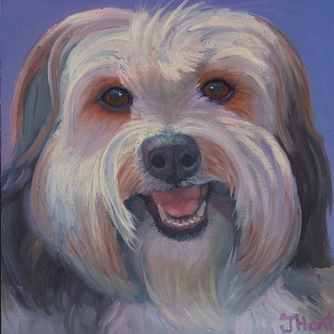 portrait of a rescued dog