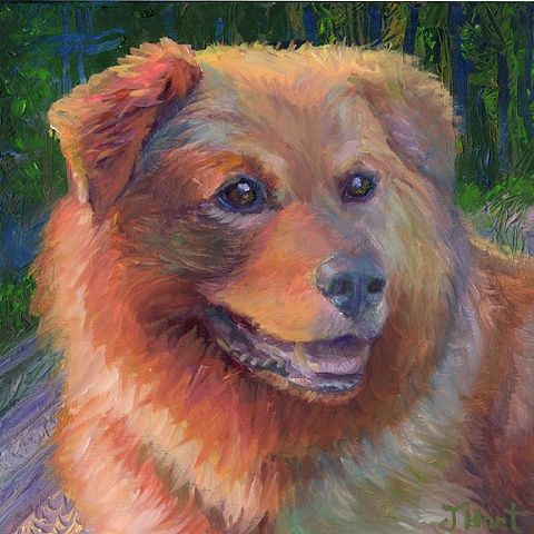 golden retriever chow mix pet portrait painting