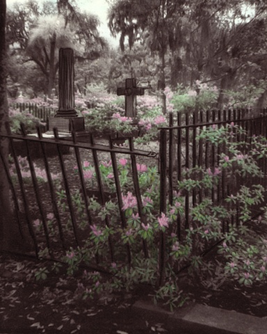 Bonaventure Cemetery Hand Colored