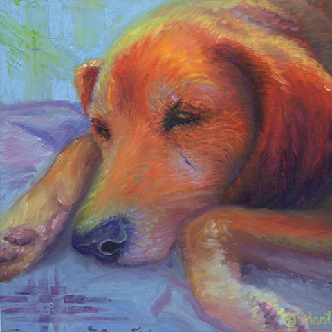 Art Print and painting of dog sleeping, pet portraits, hound