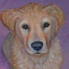 Grady