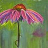 Coneflower #2