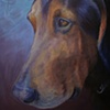The Blue Hound