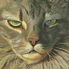 Cattitude