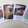 Holiday Card Group of 4
