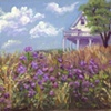 Phlox Field at River Farm