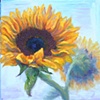 Looking Up:  Sunflower